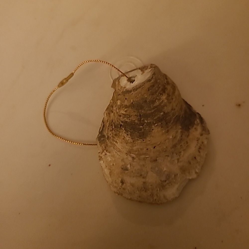Three Wiseman Shell Ornament - Picture 2 of 5